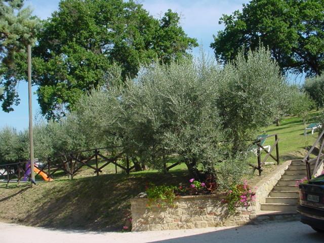 Agriturismo La Cantina San Martino 아시시 외부 사진