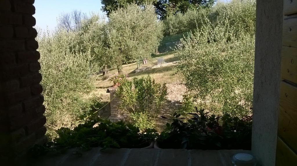 Agriturismo La Cantina San Martino 아시시 외부 사진